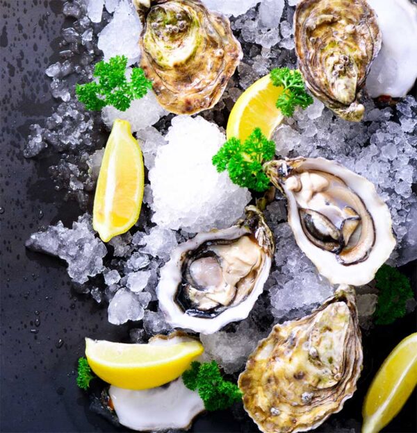 Fresh Oysters Dozen